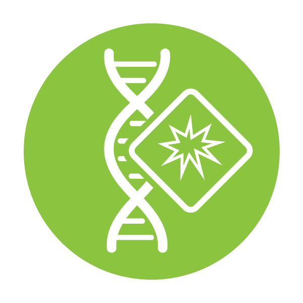 Mutation frequency, spectra, and signatures directly from DNA